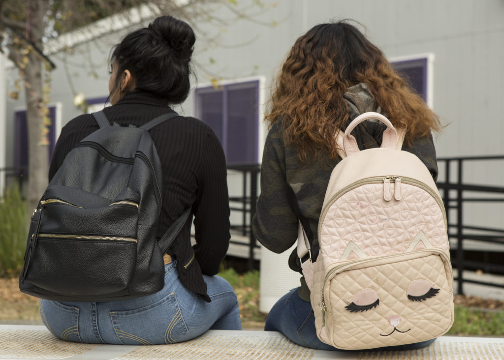 What rights do immigrant students and families have in California schools and colleges? | Quick Guide